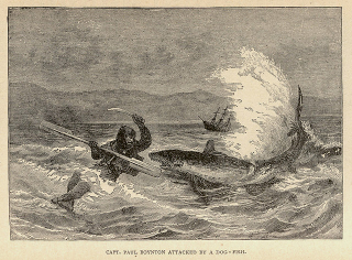 Illustration for article titled This gruesome 1889 biology book outlined the many ways animals will kill us
